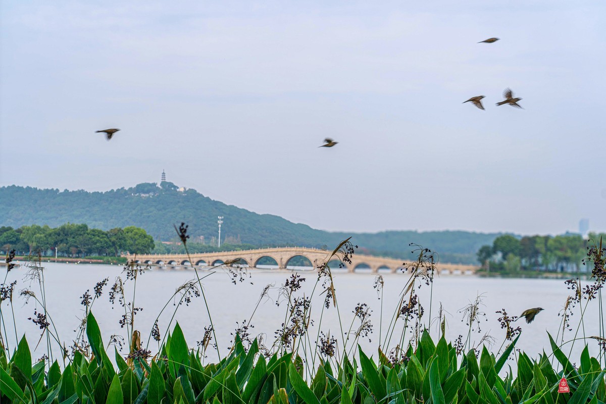 苏州石湖揽胜（一）