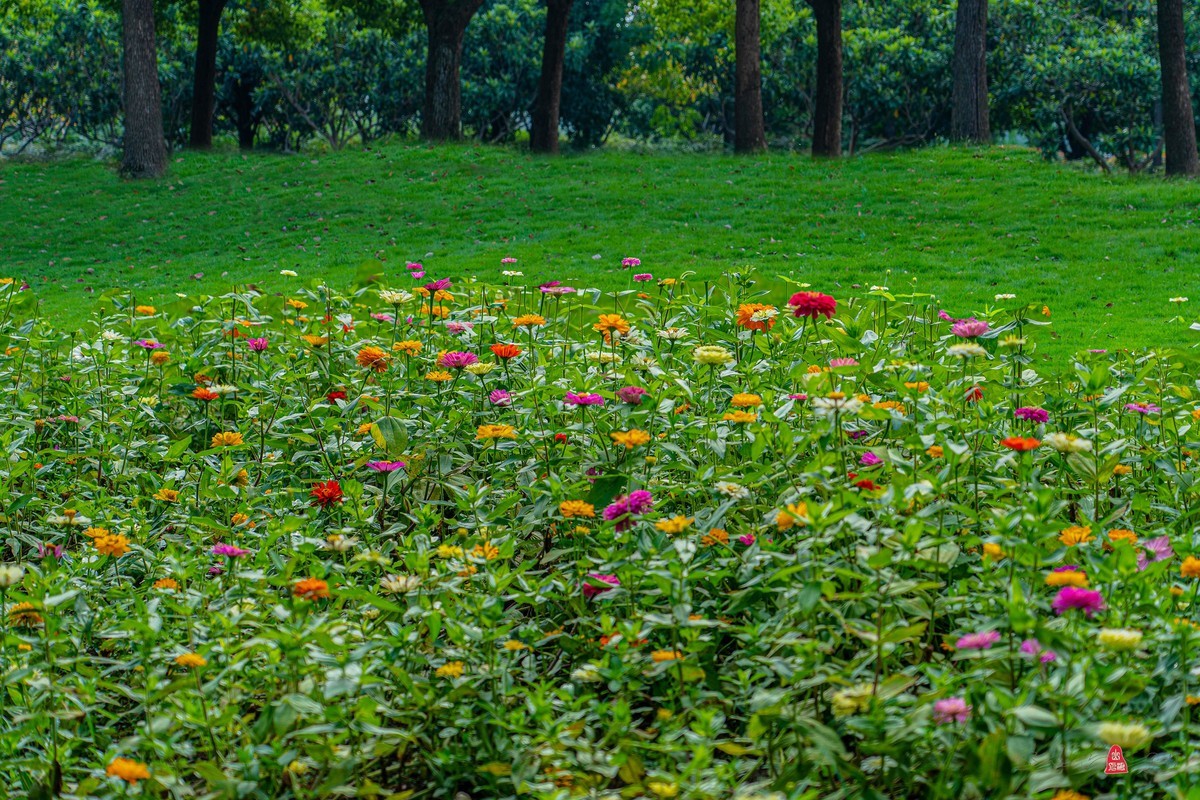 苏州石湖揽胜（一）