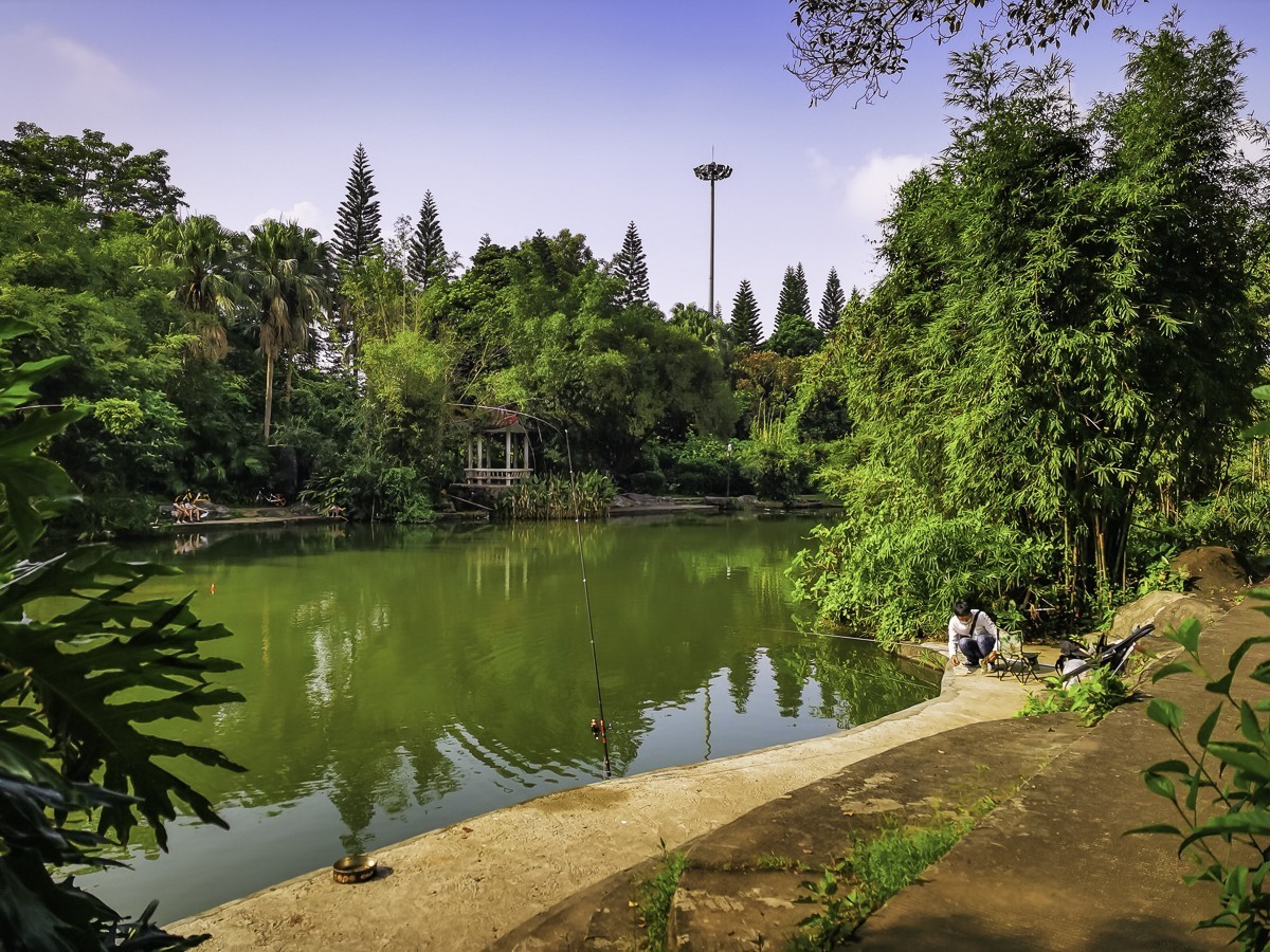 深圳東湖公園掠影