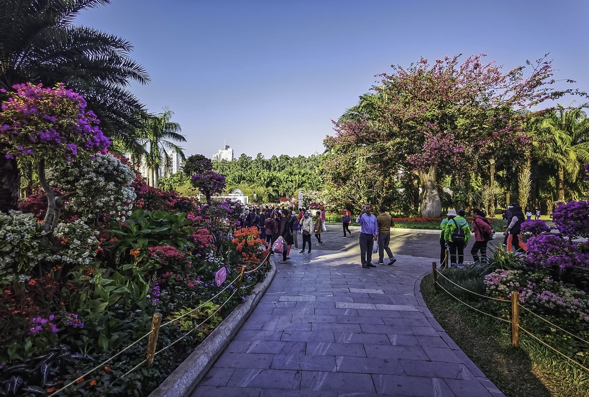 深圳蓮花山公園掠影