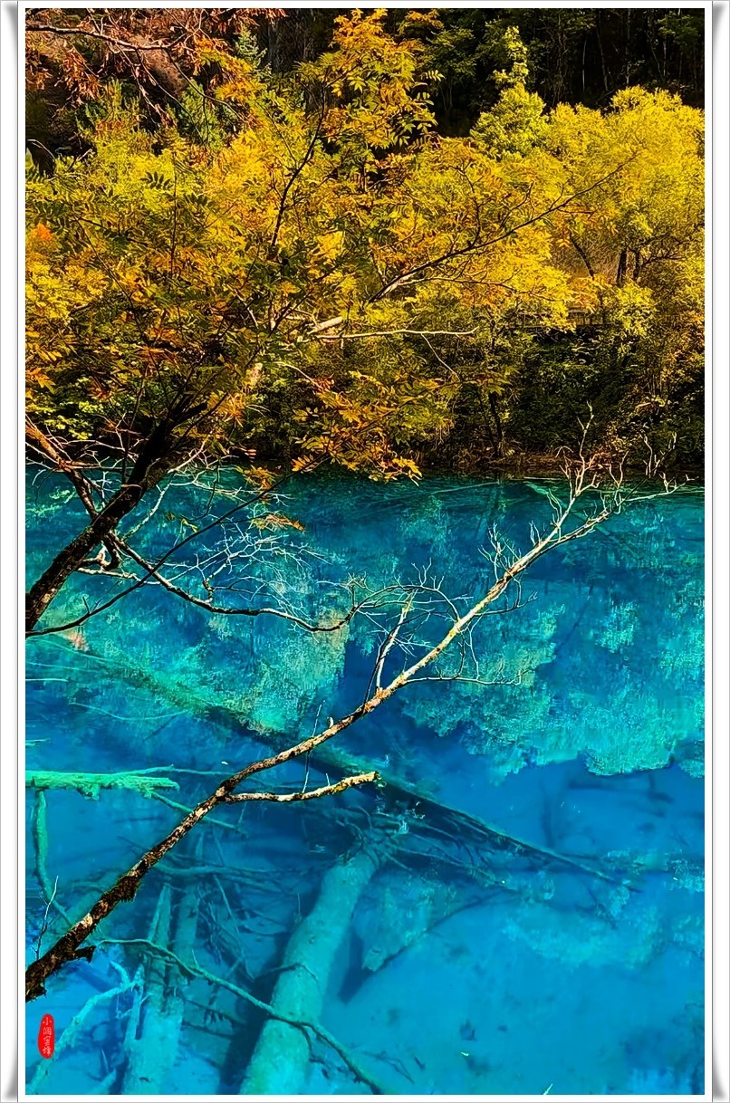 2022年九寨沟云拍-21