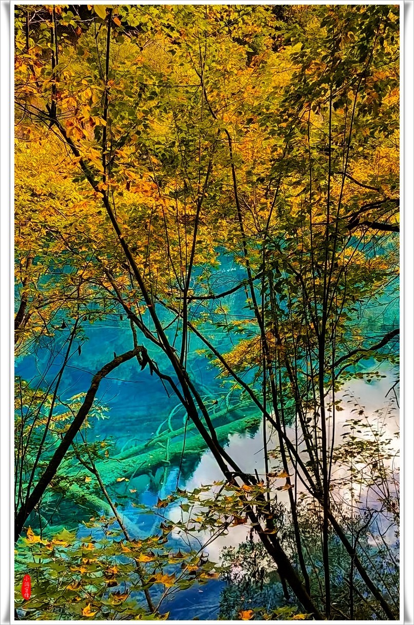 2022年九寨沟云拍-21