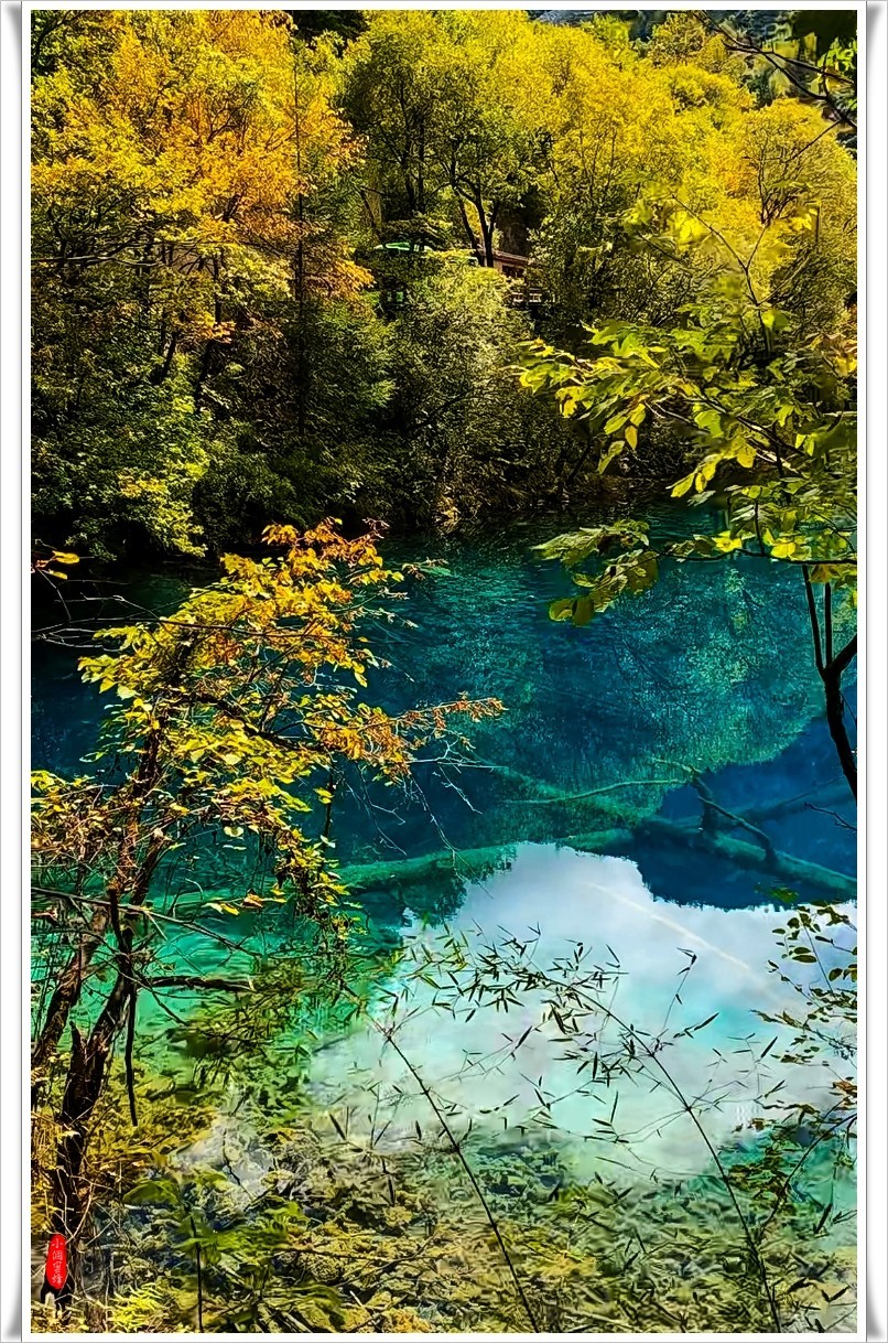 2022年九寨沟云拍-21