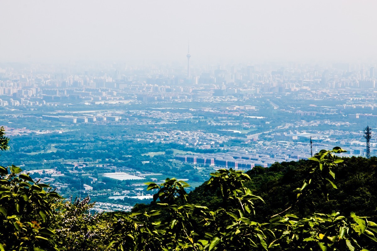 【镜头里】第1367号：北京·香山公园夏日美景（十二）