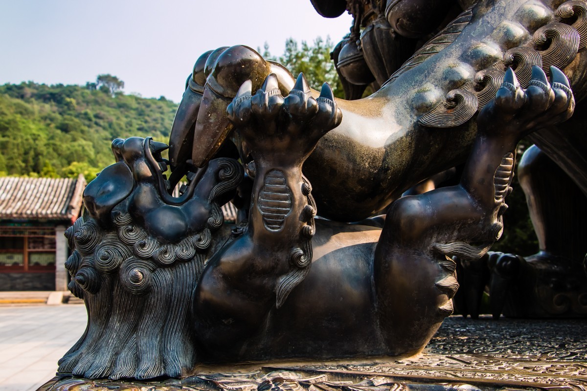 【镜头里】第1367号：北京·香山公园夏日美景（十二）