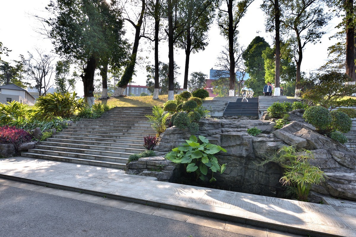 药用植物园随拍2