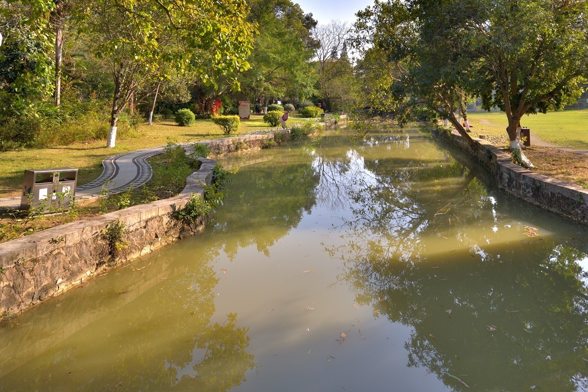药用植物园随拍2
