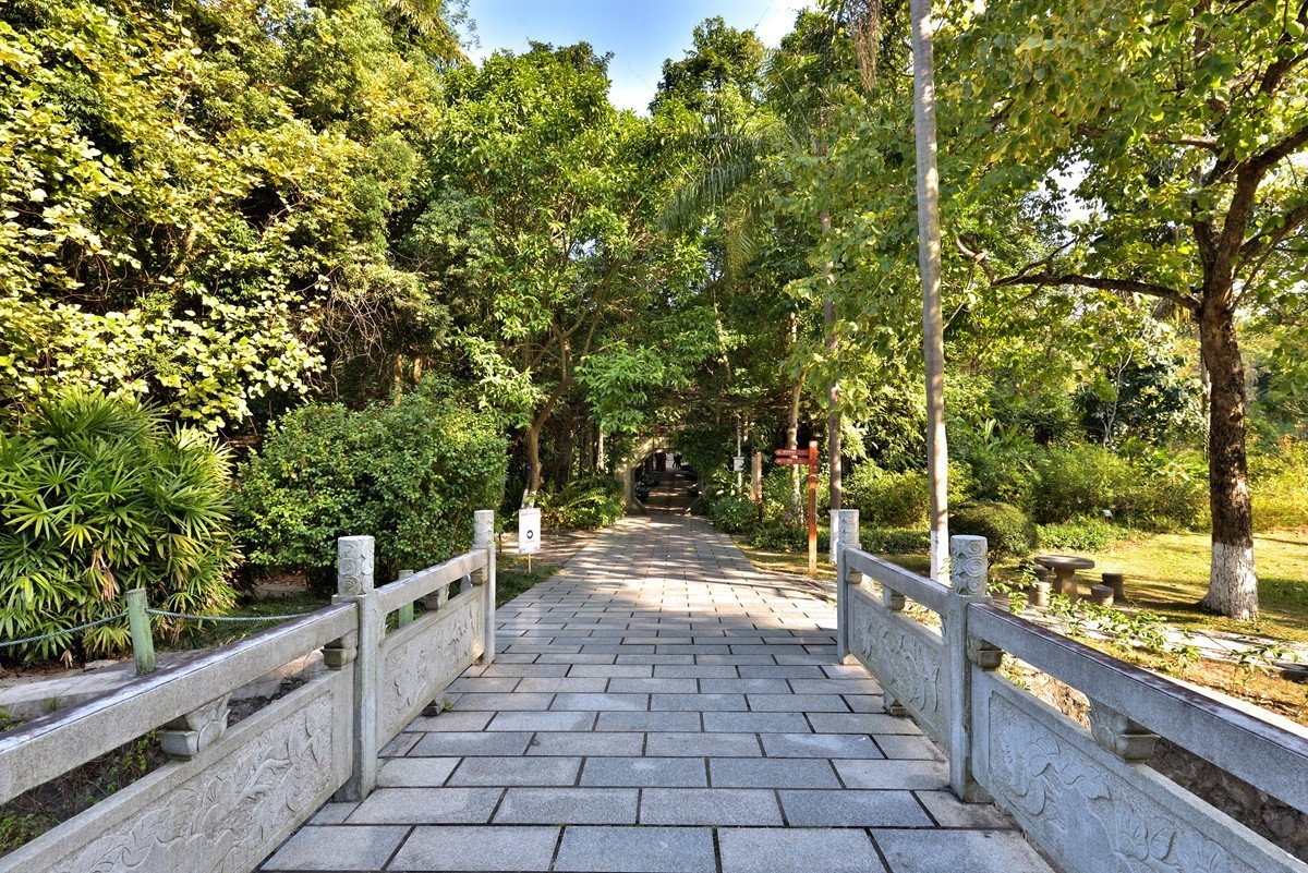 药用植物园随拍2