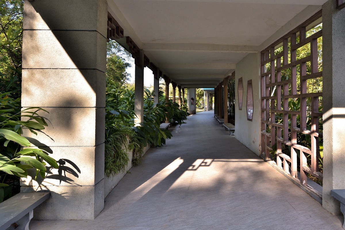 药用植物园随拍2