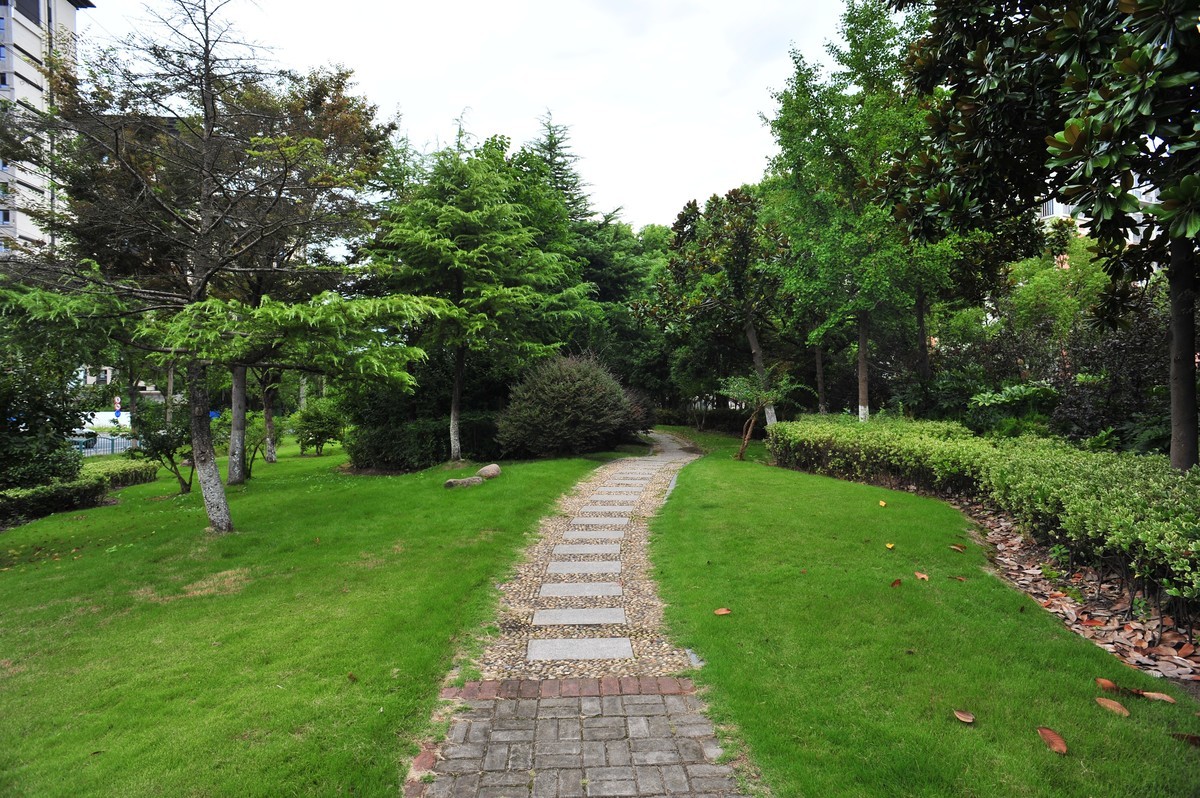 20230913晨拍-20mm定焦头