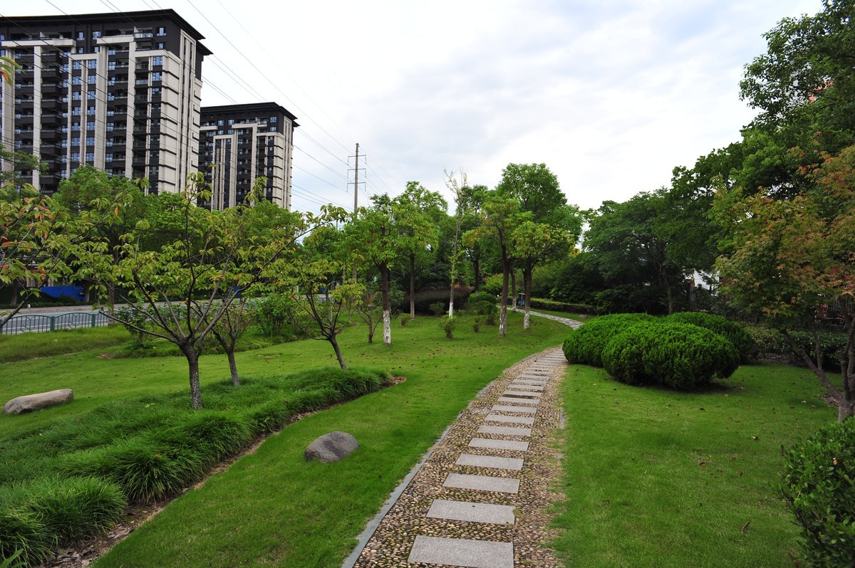 20230913晨拍-20mm定焦头