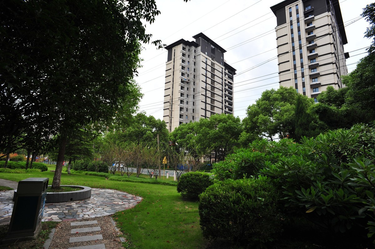 20230913晨拍-20mm定焦头