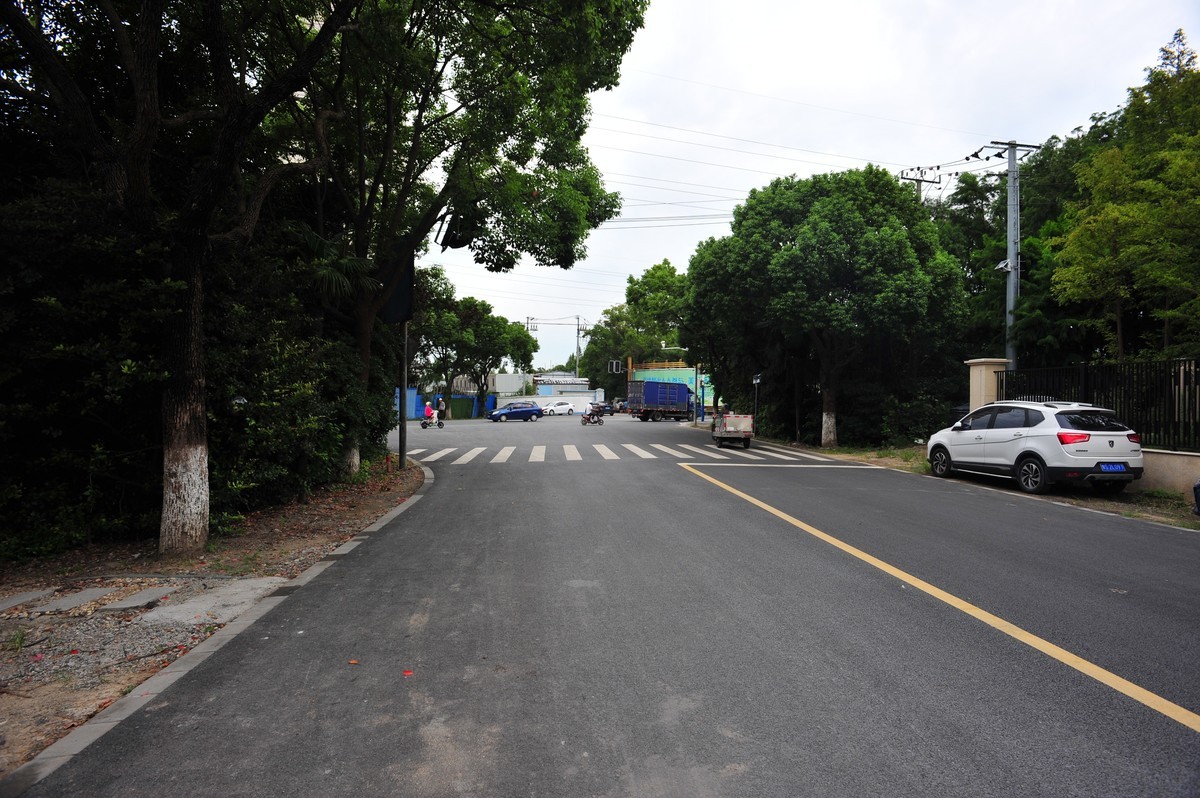 20230913晨拍-20mm定焦头