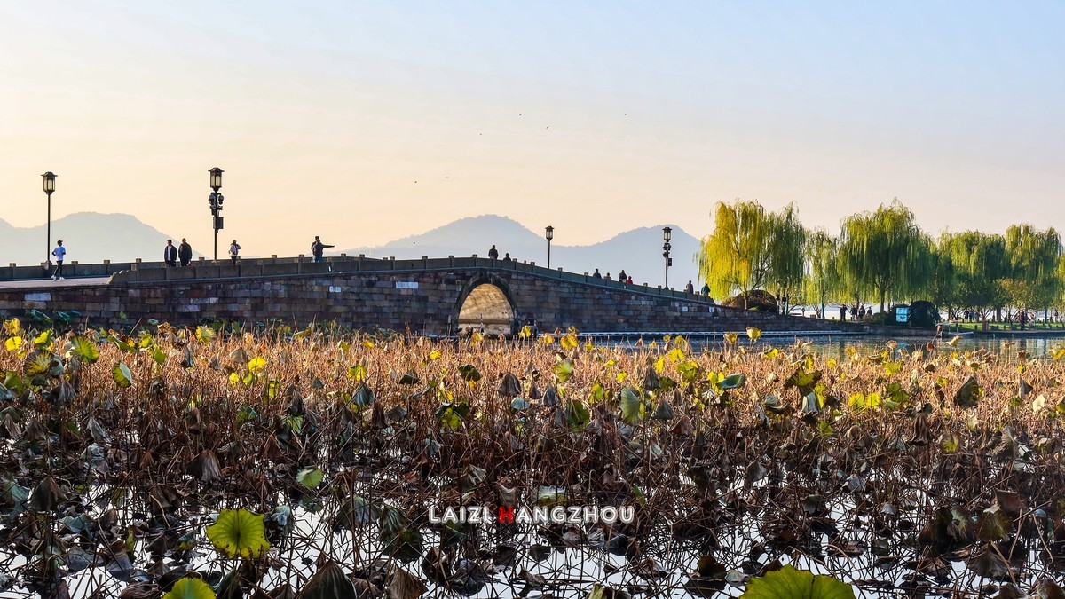 西湖秋色如约而至 (1)