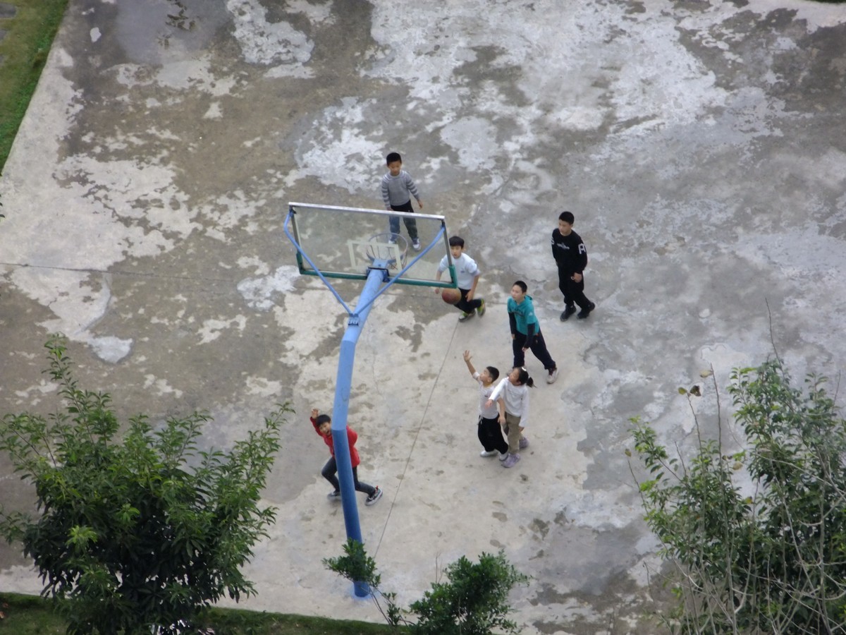 富士S205阳台长焦试拍