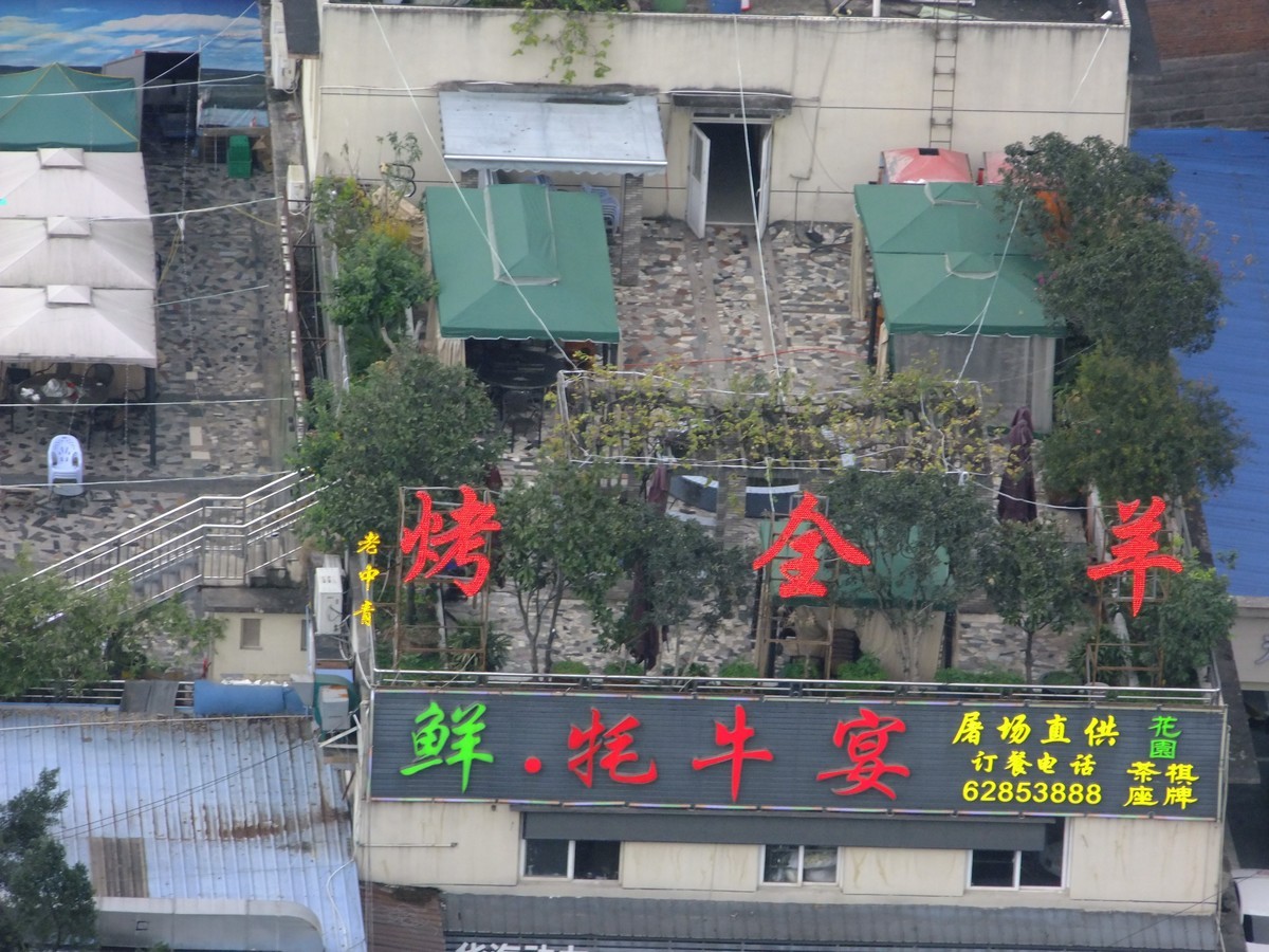 富士S205阳台长焦试拍