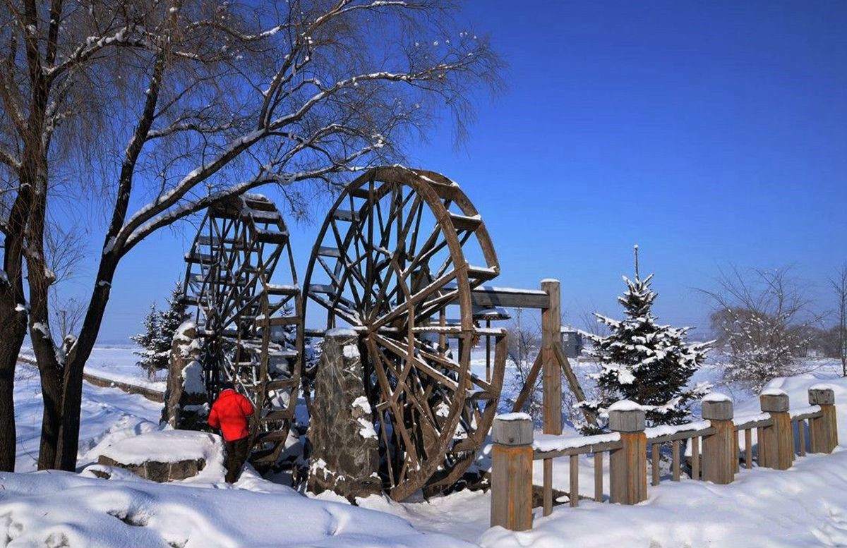 玄武湖之冬（1）