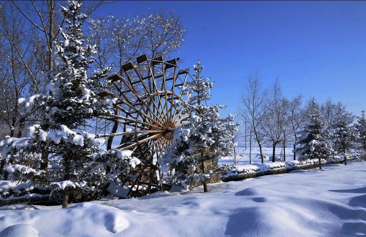 玄武湖之冬（1）