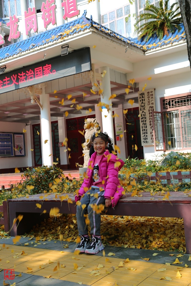 这两天天气不错