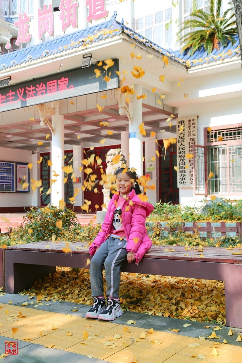 这两天天气不错