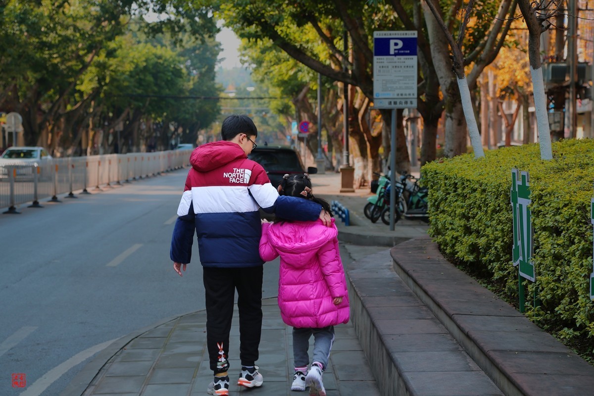 这两天天气不错