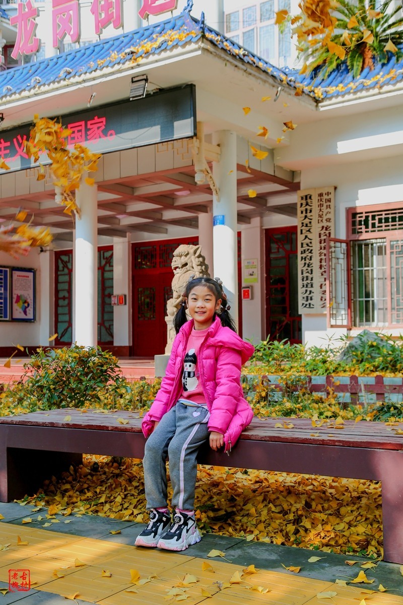 这两天天气不错