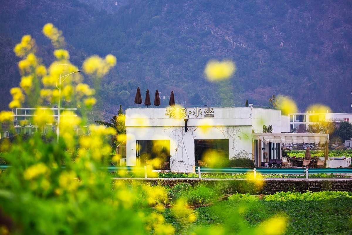 花开的旅途——兴义万峰林油菜花