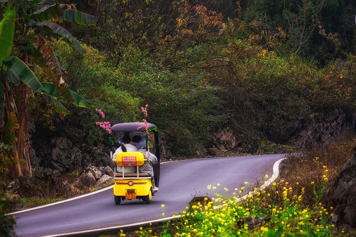 花开的旅途——兴义万峰林油菜花