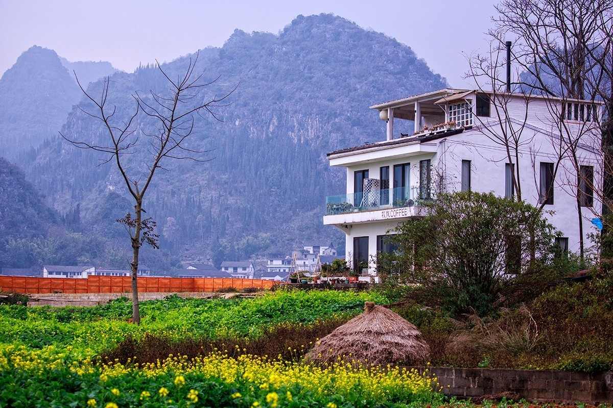 花开的旅途——兴义万峰林油菜花