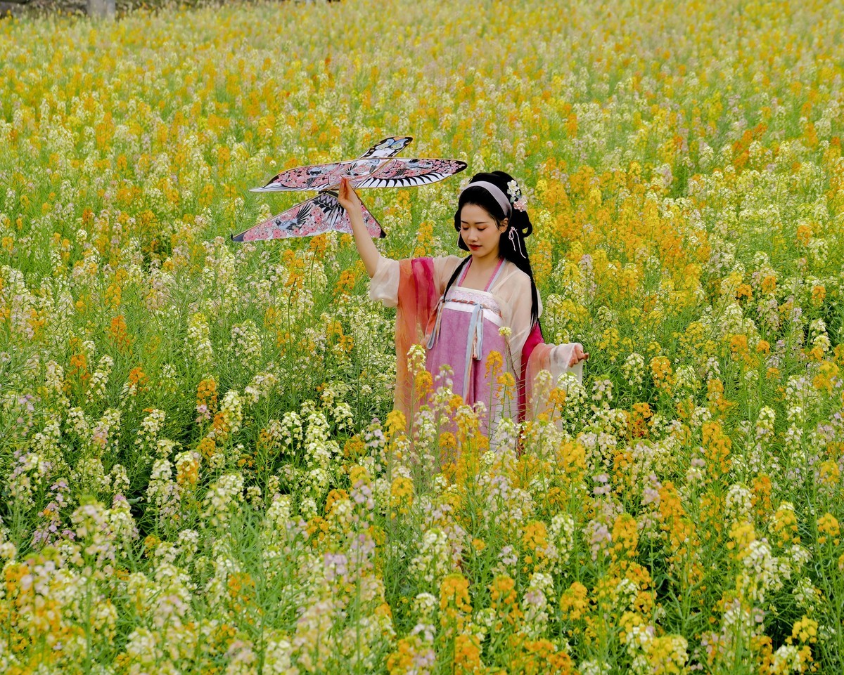 油菜花人像 （三）
