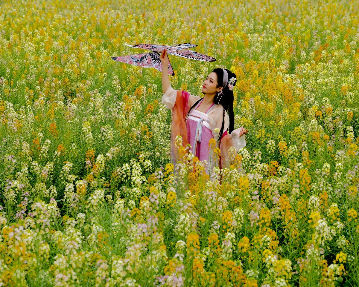 油菜花人像 （三）