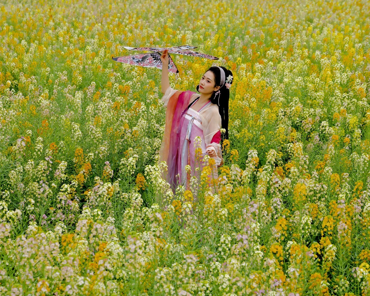 油菜花人像 （三）