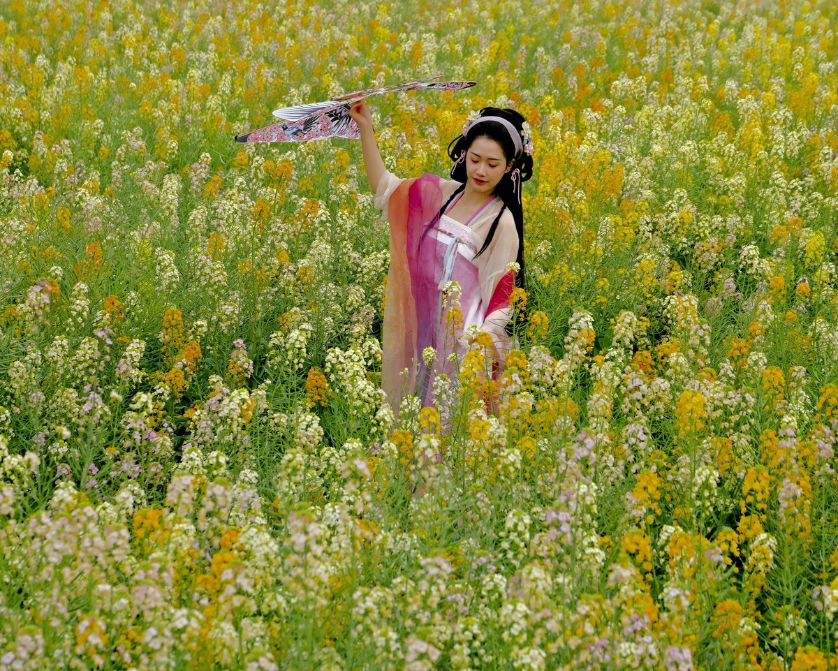 油菜花人像 （三）