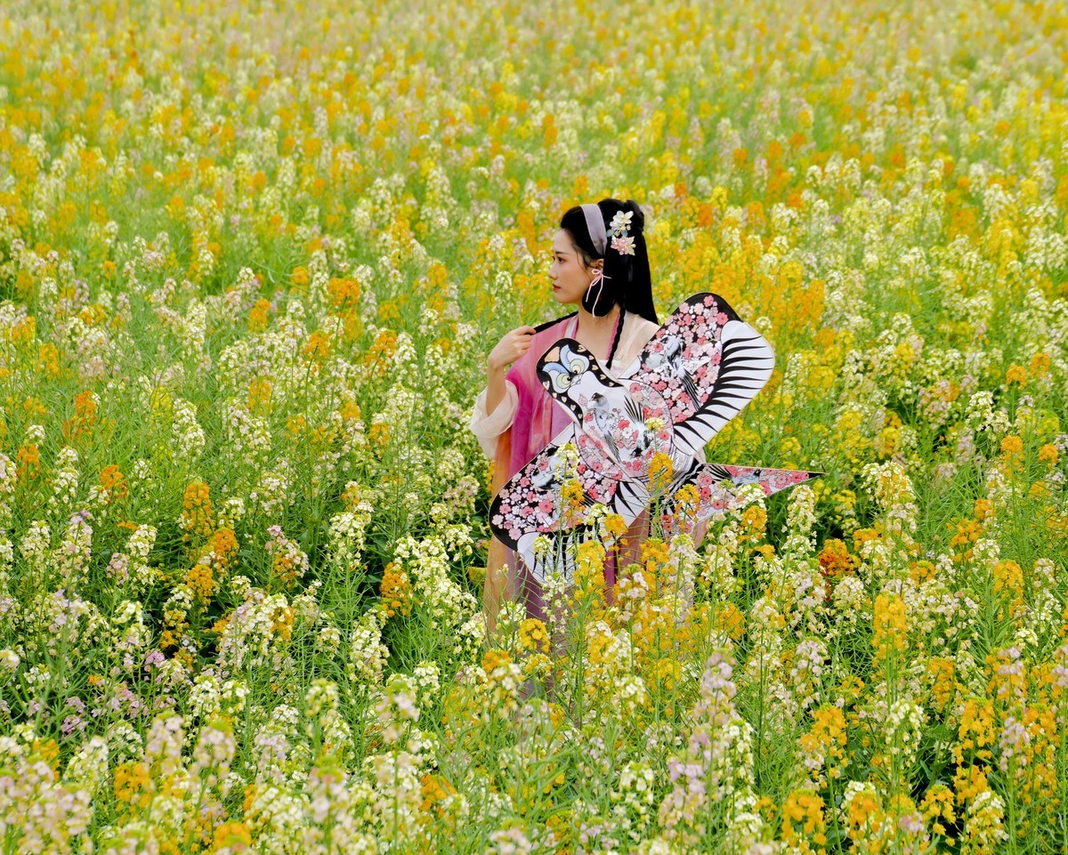 油菜花人像 （三）