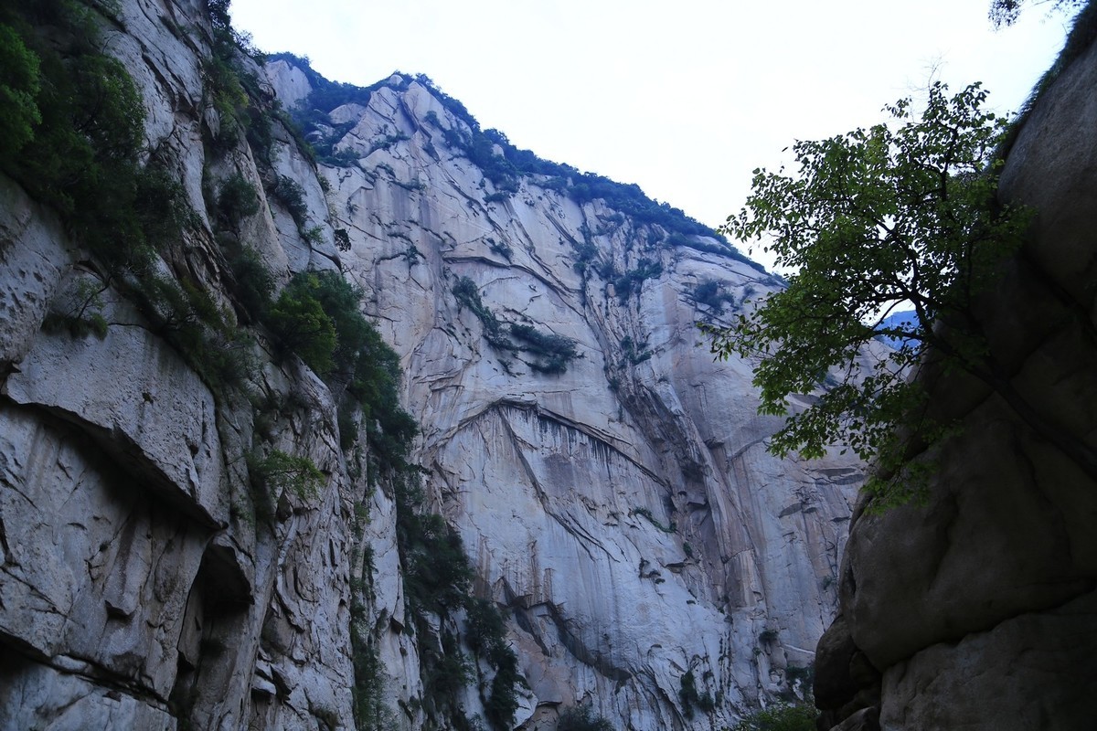 我只是把出去看到的随手记录下来（172）