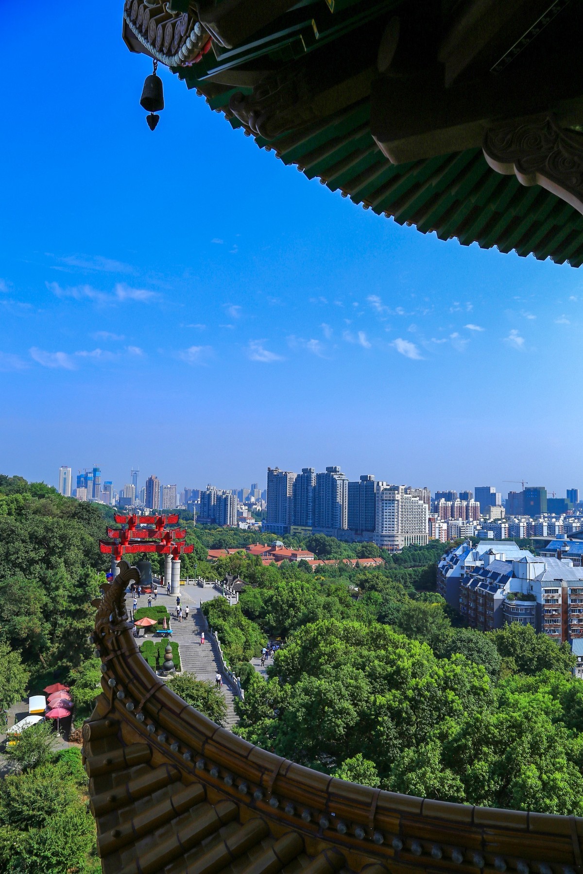 我只是把出去看到的随手记录下来（171）