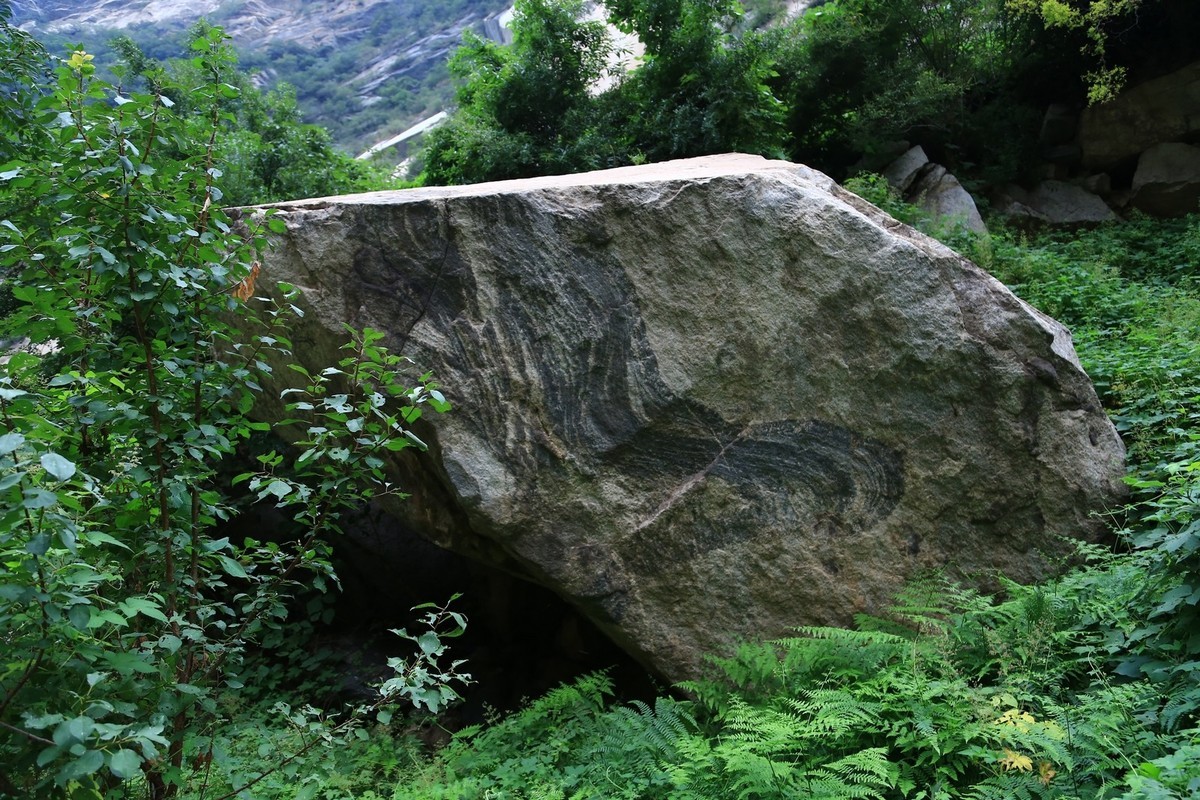 我只是把出去看到的随手记录下来（172）