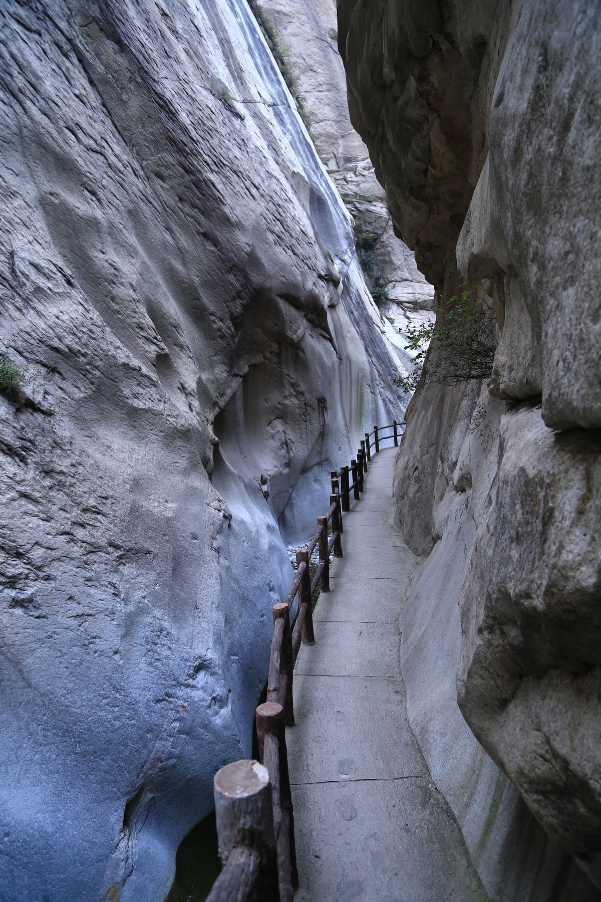 我只是把出去看到的随手记录下来（172）