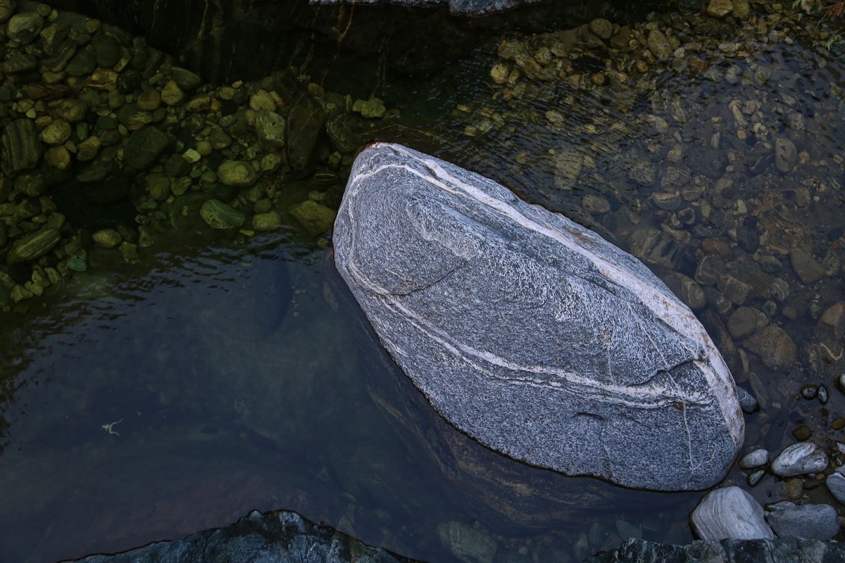 我只是把出去看到的随手记录下来（172）