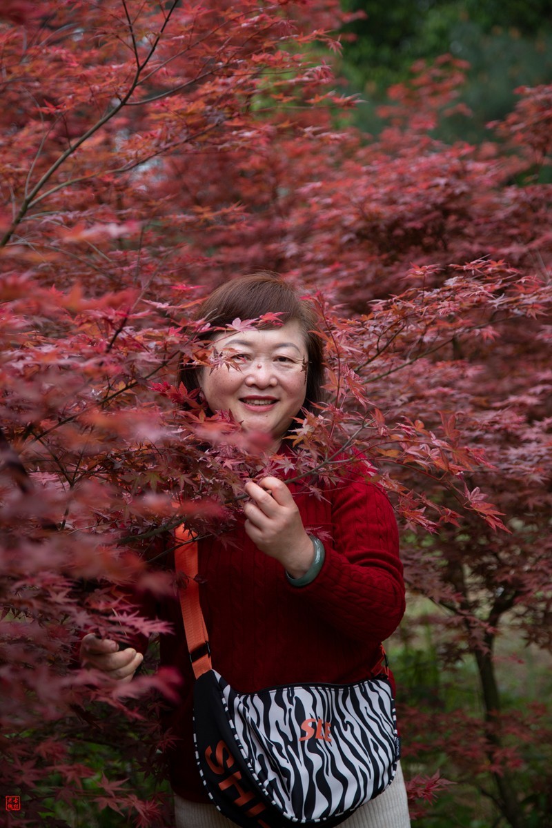 八塘黄金谷（9）