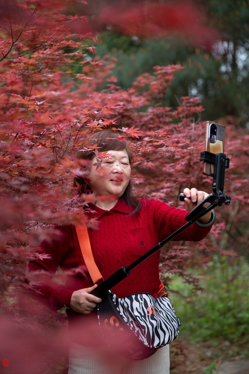 八塘黄金谷（9）