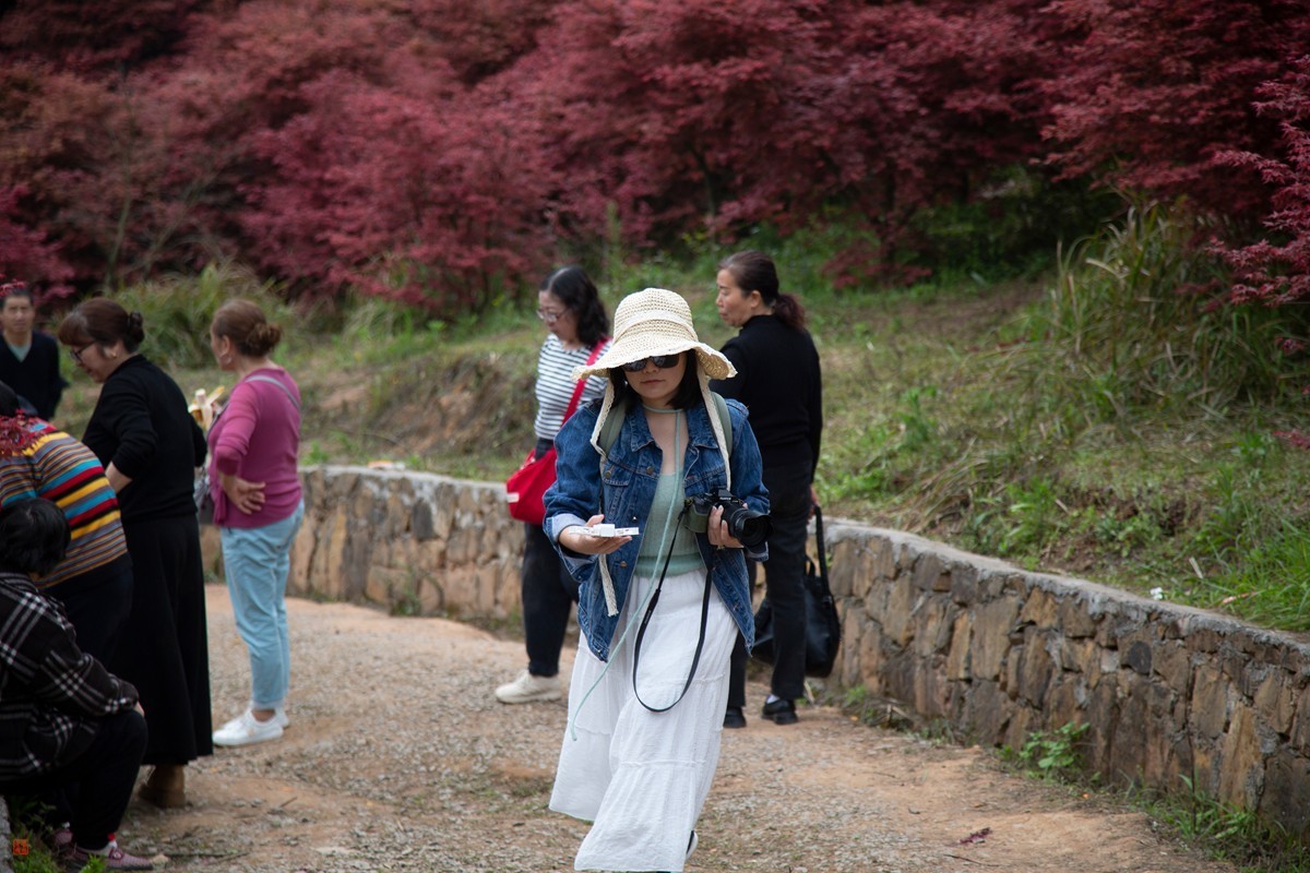 八塘黄金谷（9）