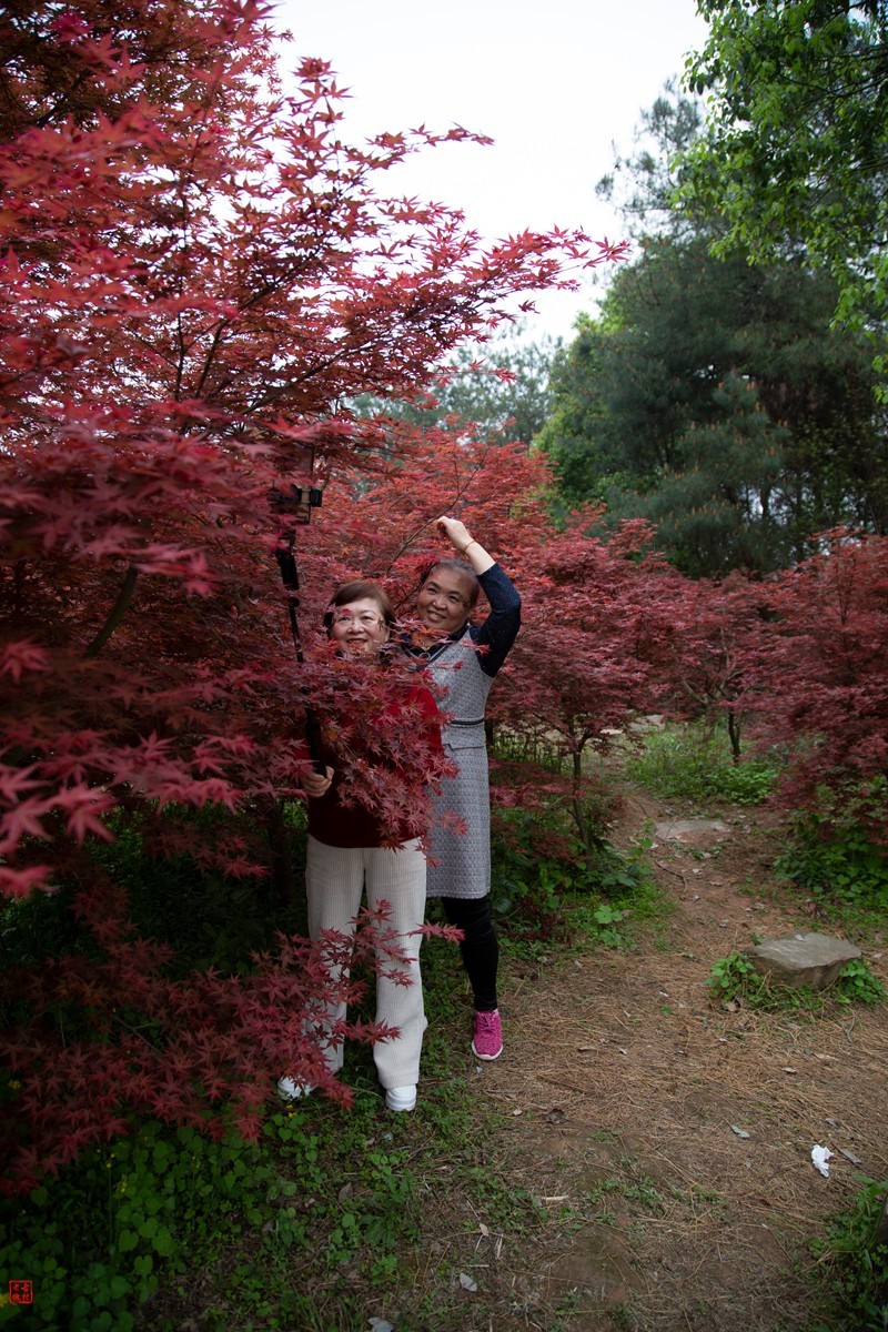 八塘黄金谷（9）