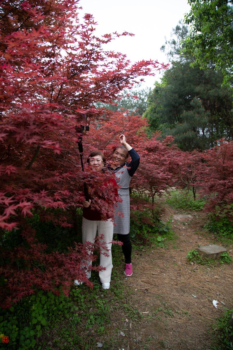 八塘黄金谷（9）