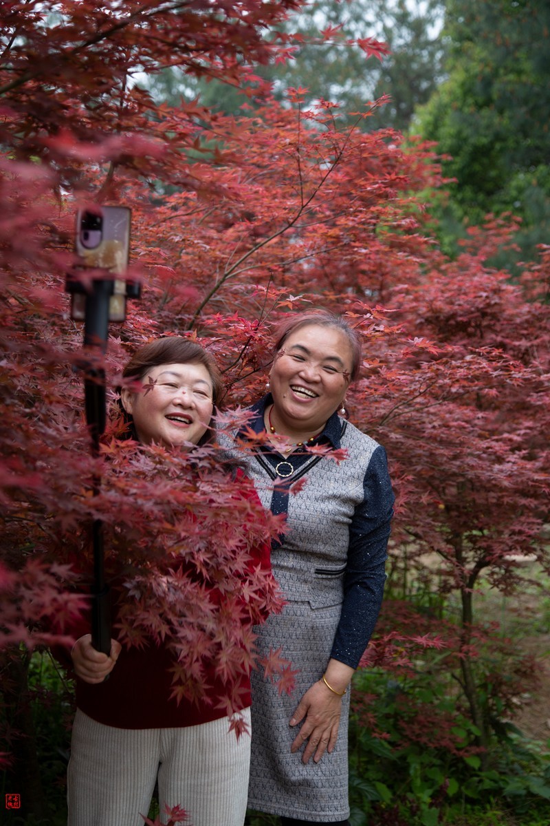 八塘黄金谷（9）