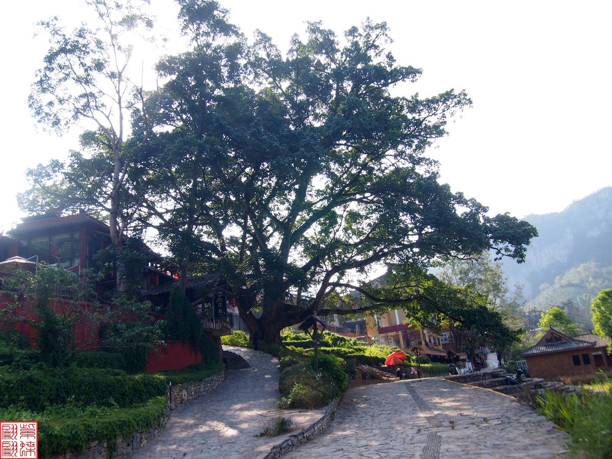 2023.12.22坝美随拍（21）