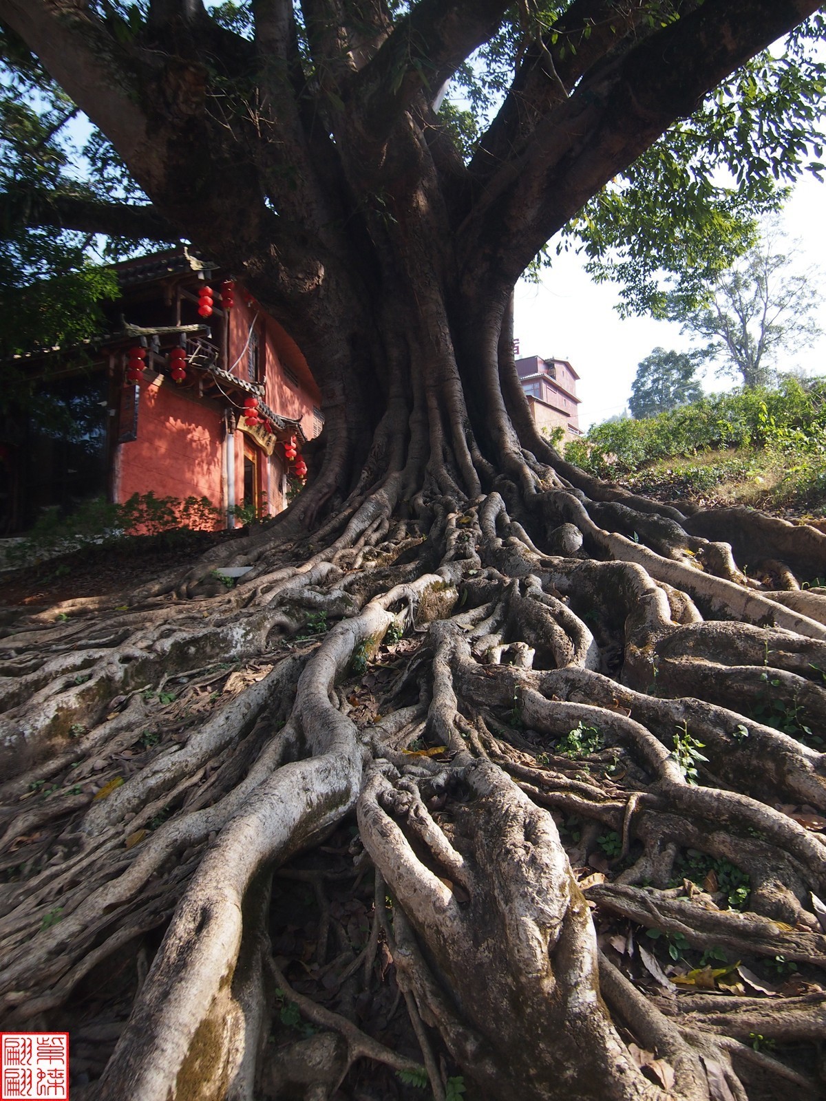 2023.12.22坝美随拍（21）