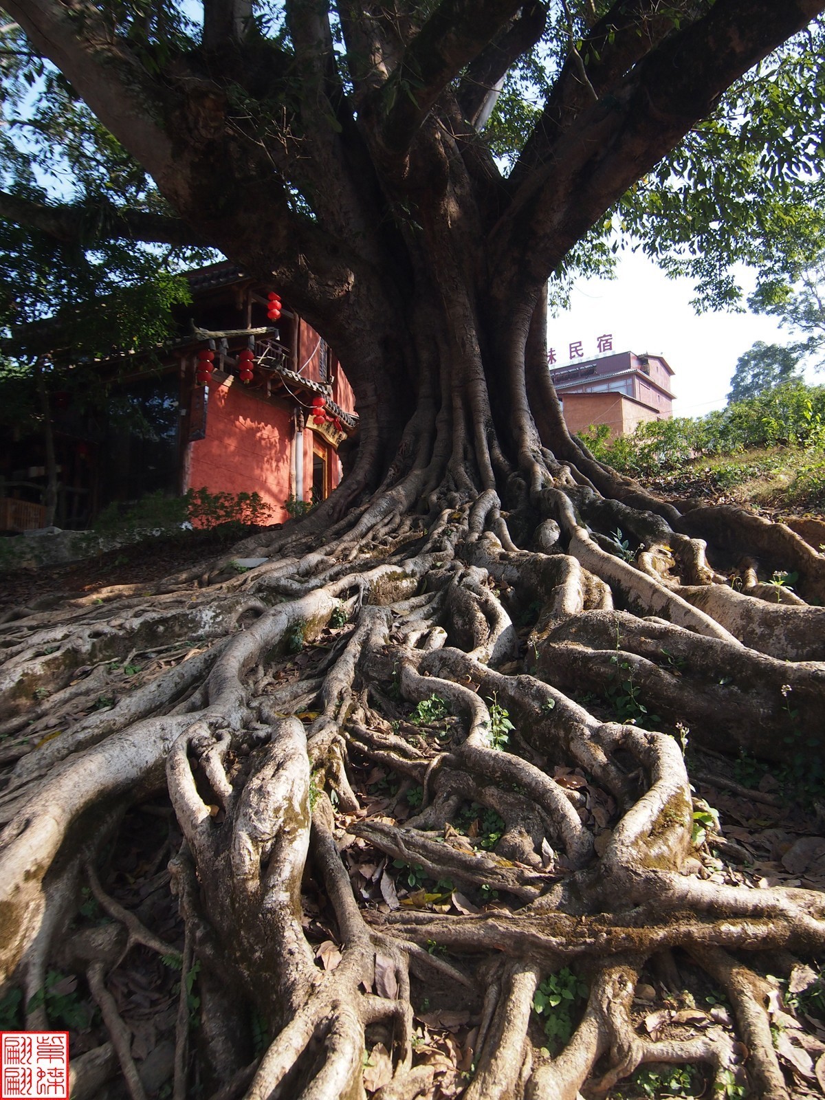2023.12.22坝美随拍（21）