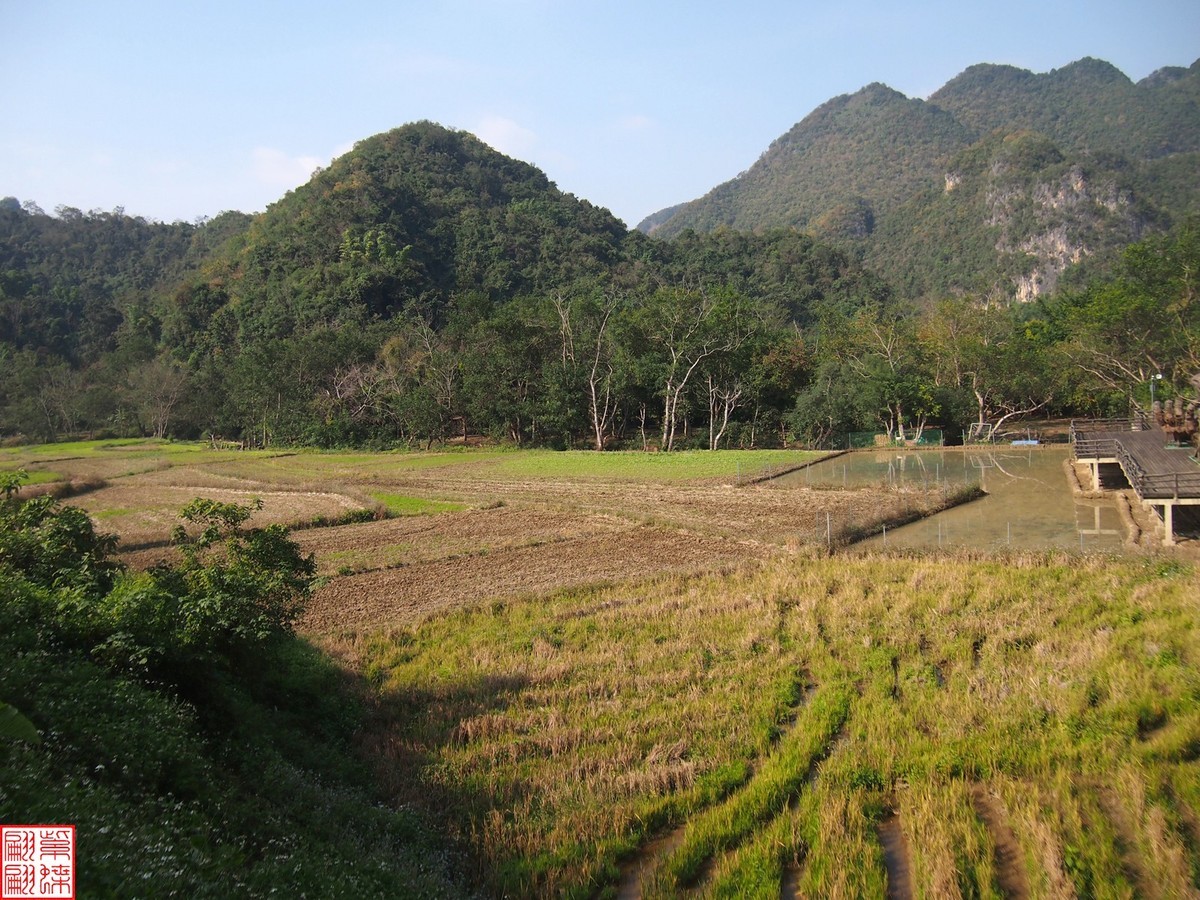 2023.12.22坝美随拍（21）