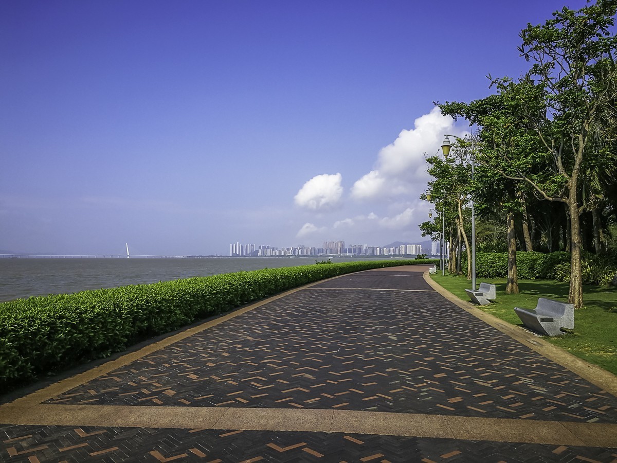 深圳湾公园 ~ 掠影